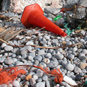 ASZ-Beach-Cleans