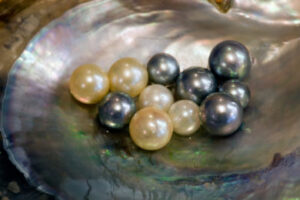 ASZ Pearls-Paul-Kay-photo